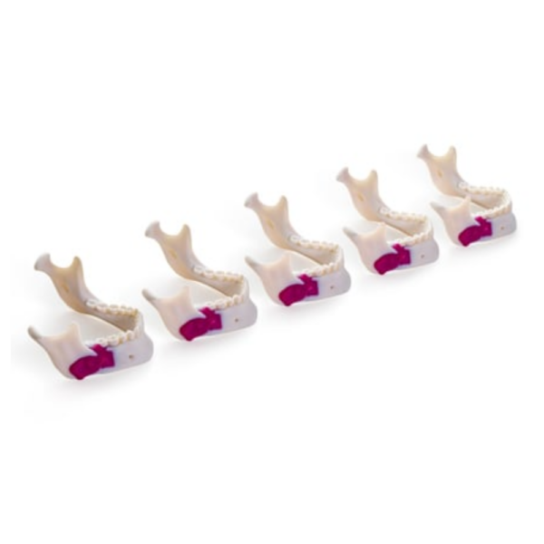 Stratasys Draft White MED858